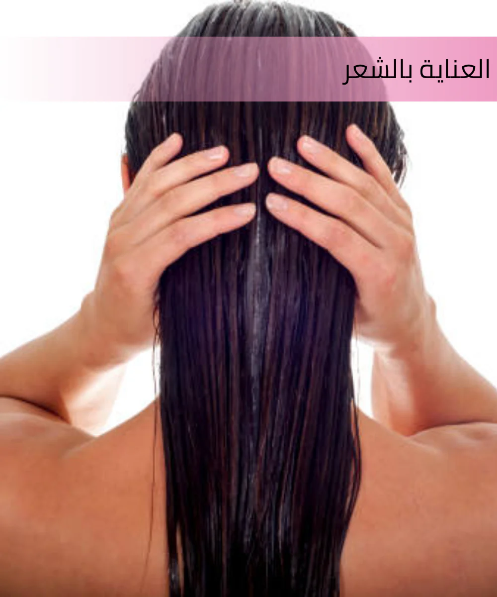 الصفحة الرئيسية