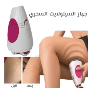 الصفحة الرئيسية