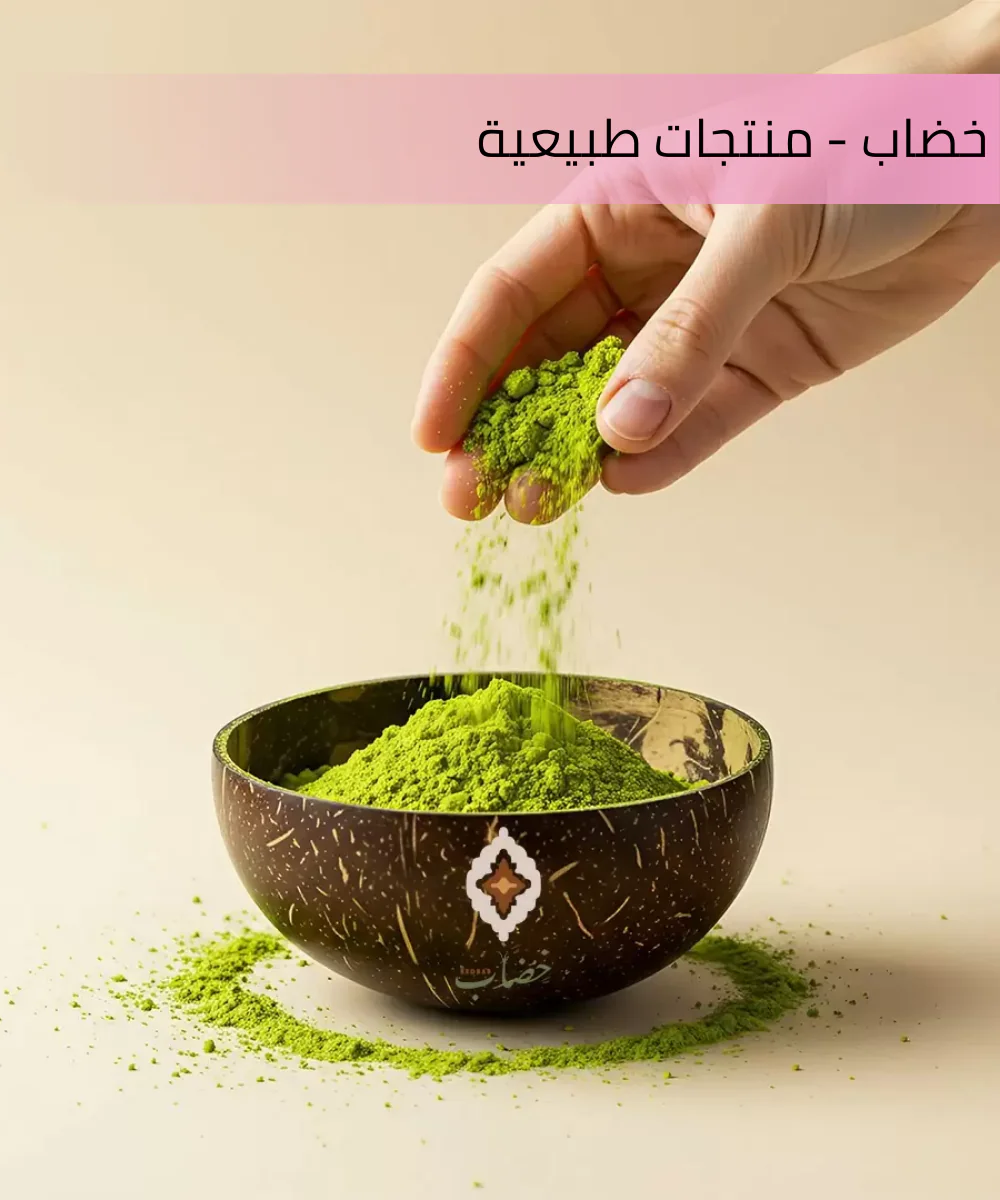 الصفحة الرئيسية